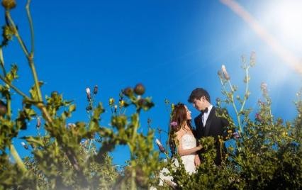 苏可杨洋大婚现场图(苏可是谁的妻子)