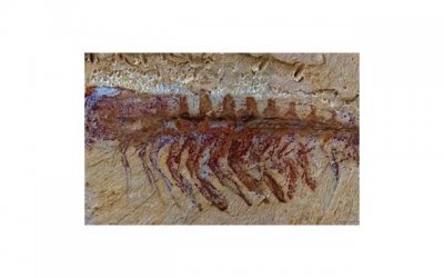 美容知识大介绍:让你轻松拥有水嫩肌肤的方法