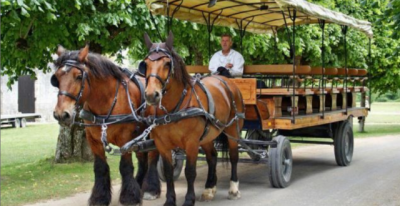 一马力真是一匹马的拉力?它到底有多大的力量?