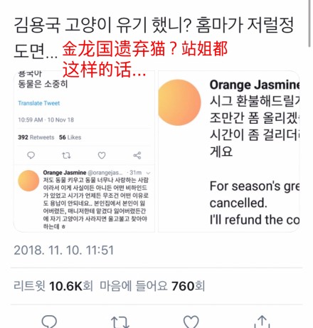 金龙国虐猫事件是怎么回事 金龙国虐猫事件是怎么回事