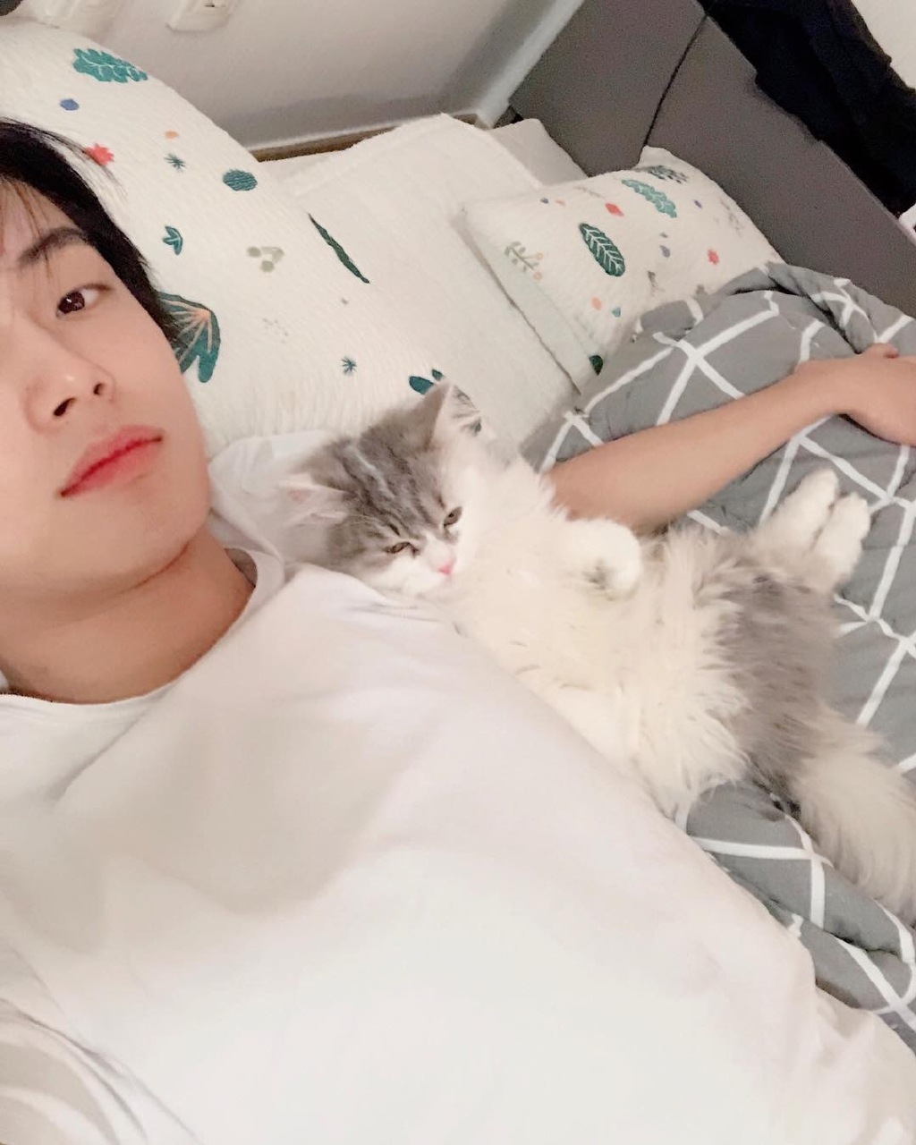 金龙国虐猫事件是怎么回事 金龙国虐猫事件是怎么回事