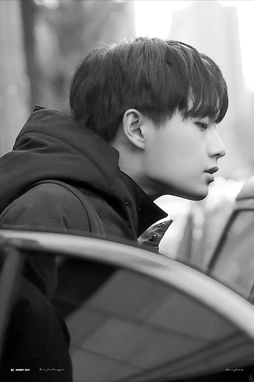 金龙国虐猫事件是怎么回事 金龙国虐猫事件是怎么回事