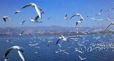 昆明属于云南省,想知道昆明是省会还是市图6