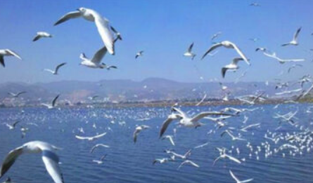 昆明属于云南省,想知道昆明是省会还是市图2