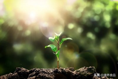 植树的好处有哪些(植树造林,对身体健康也能带来这么多益处)