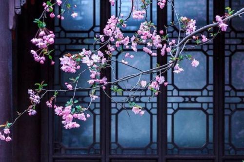 梨花院落溶溶月,柳絮池塘淡淡风(梨花院落溶溶月全诗怎么解读)-第2张图片-