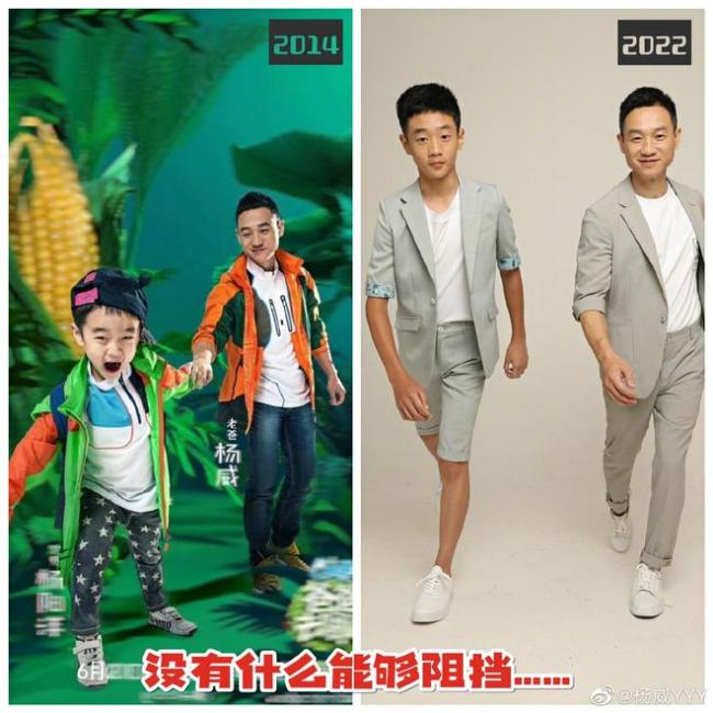 又一萌娃长大!杨威晒12岁杨阳洋近照身高直逼爸爸