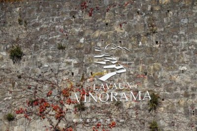 ​瑞士葡萄酒一般多钱_瑞士酒品牌