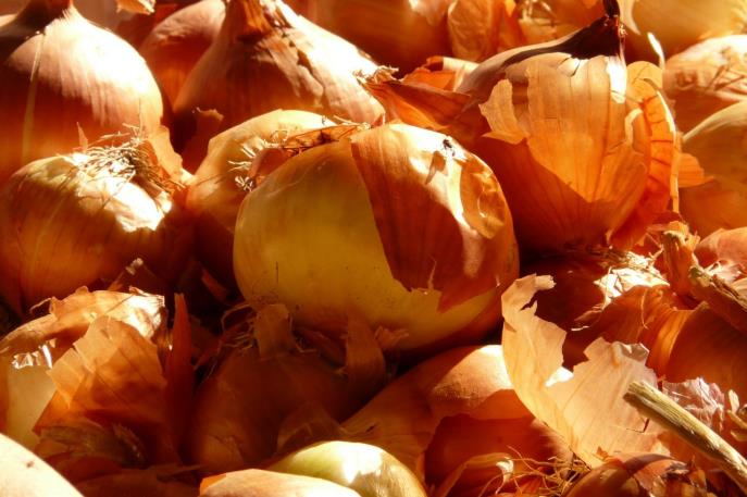 水洋葱煮水喝功效 水洋葱泡茶对前列腺好吗 水洋葱煮水喝功效 水洋葱泡茶对前列腺好吗