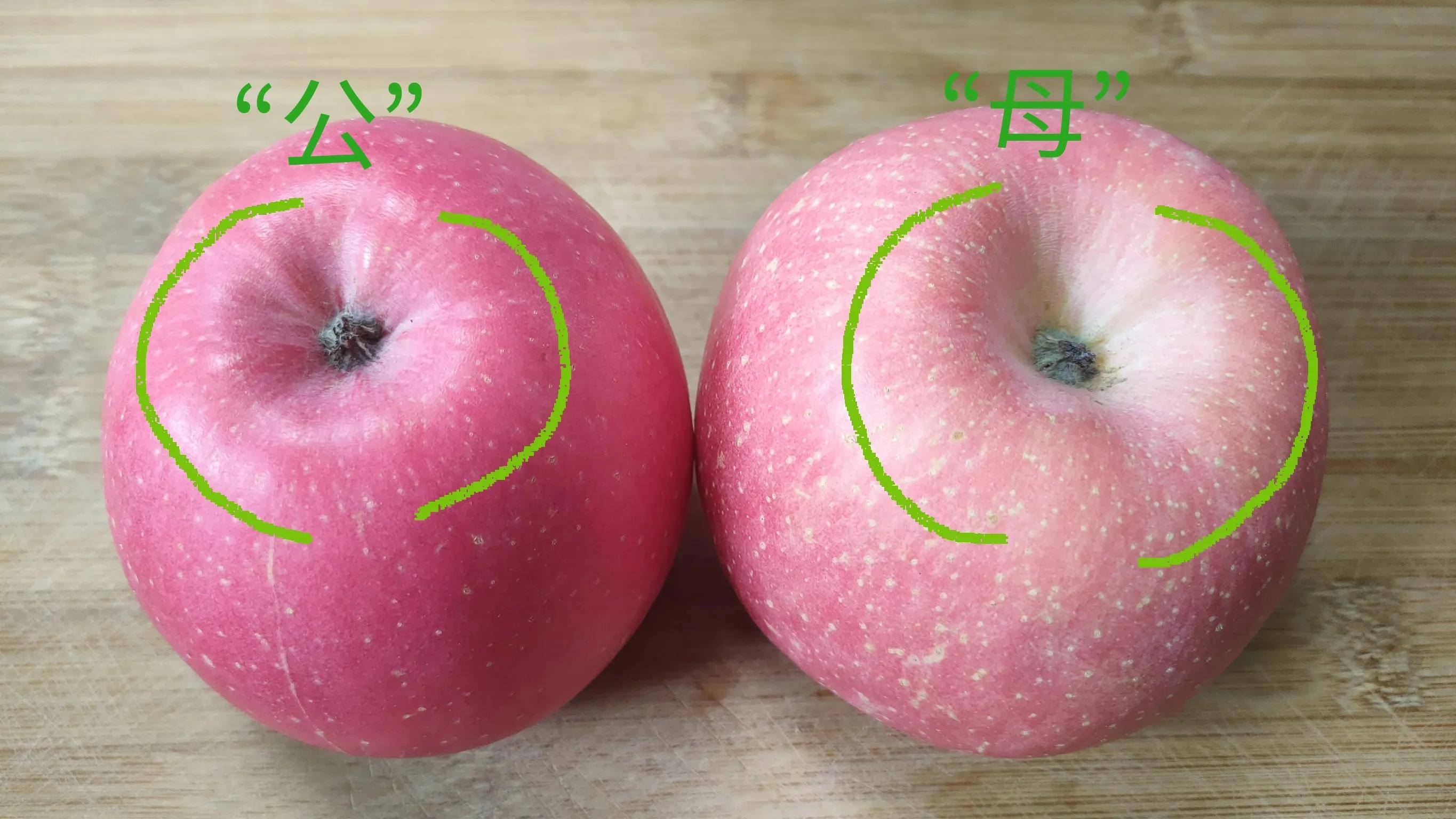 苹果红通通还是红彤彤(挑选苹果的6个小技巧)