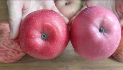 ​苹果红通通还是红彤彤（挑选苹果的6个小技巧）