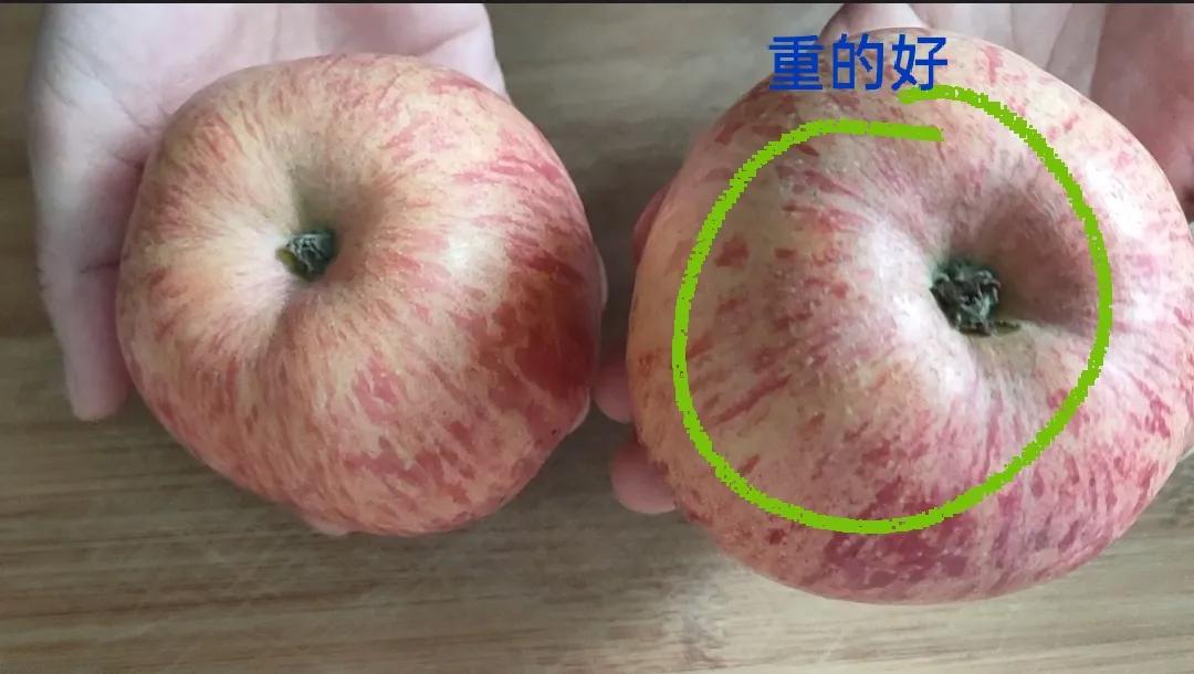 苹果红通通还是红彤彤(挑选苹果的6个小技巧)