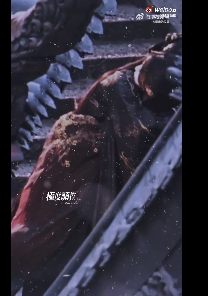 虞书欣张凌赫新剧拥抱路透 期待新剧!