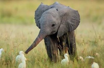 ​七大洲八大洋还是四大洋是？七大洲四大洋顺口溜