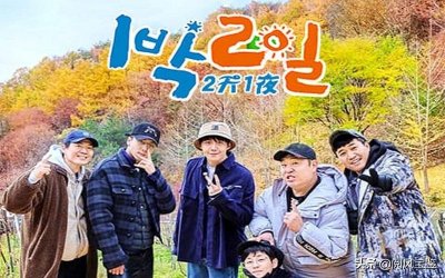 国民综艺频出渣男,严泰雄被老婆重新“上架”,金宣虎却无女人福