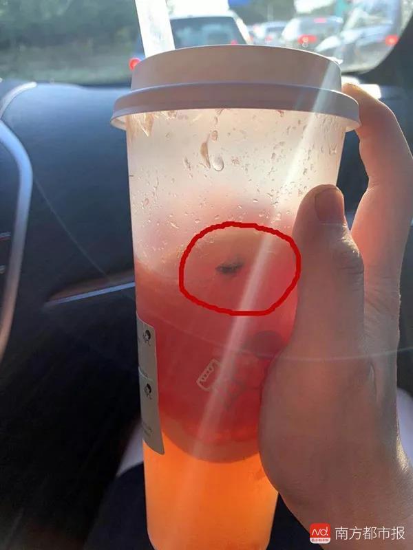 喜茶被约谈有什么后果（喜茶喝出苍蝇背后）(2)