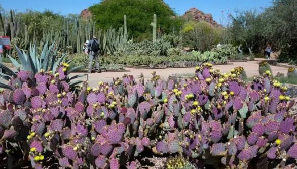 世界十大植物园排名（新加坡植物园榜上第三） 3_WWW.JUHAIHG.COM