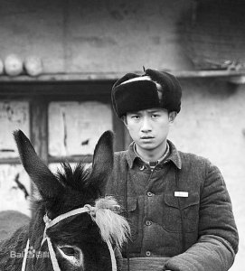 ​和谐社会包括人与自然的和谐共处：盘点十五部动物灾难电影