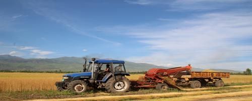 中国产亚麻的地方