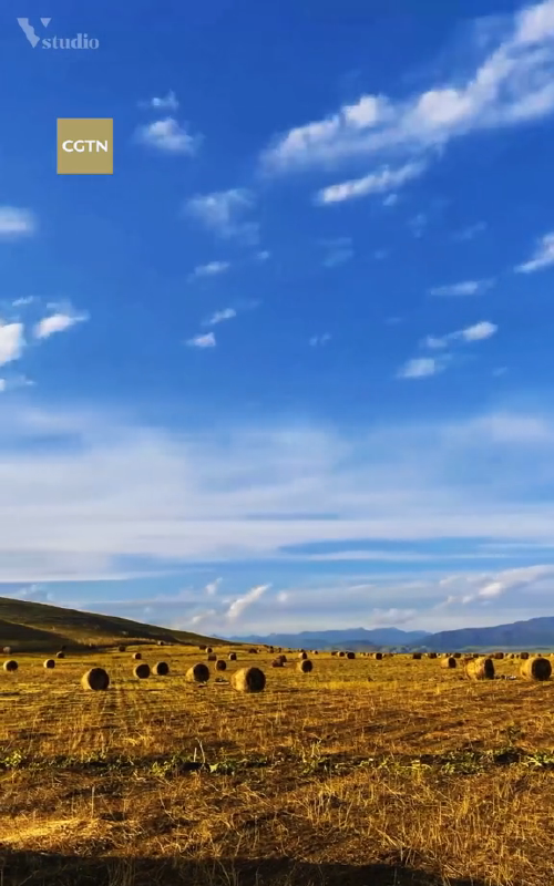 世界上最大的亚麻产地是哪里鸦片俗称大码的泛滥者主要集中在中国的哪个方位大