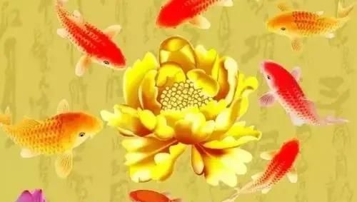 鲜花牛粪，鲜花插在牛粪上不一定好的成语？图4