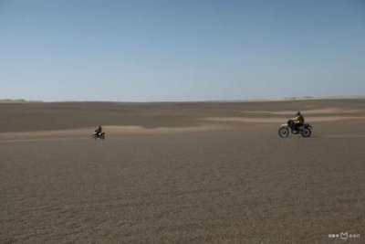 ​北京男女水坑虐猫事件真相 数次将猫头强行摁入水中溺死