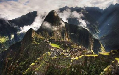 ​世界上最大的腰果树已有1000年历史，覆盖面积约8000平方米