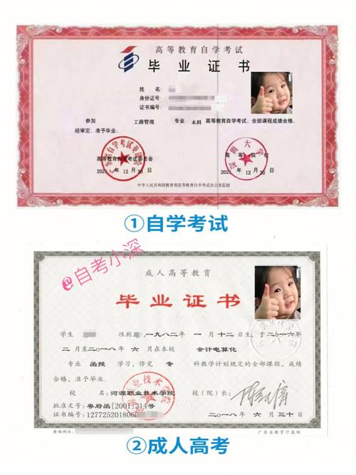 自考有几种证书(自考能考哪些证)