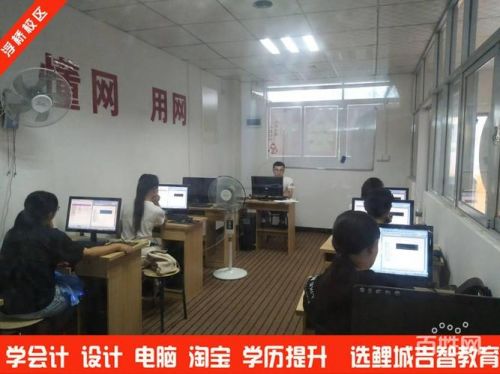 学电脑学什么好就业(学电脑学什么)-第1张图片-