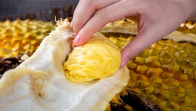 ​榴莲剥开了不熟能放熟吗