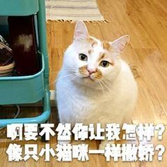 盘点那些超甜的电视剧,杨洋郑爽甜到爆,从头到尾无虐