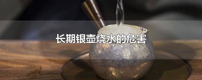 ​长期用银壶煮水的危害是什么呢 长期用银壶煮水的危害是什么原因