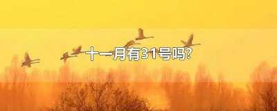 ​十一月有31号吗?