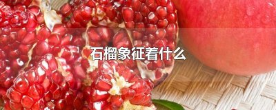 ​石榴象征着什么