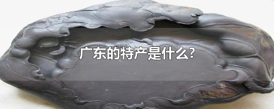 ​广东的特产是什么?