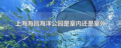 ​上海海昌海洋公园是室内还是室外游玩 上海海昌公园是室内的吗