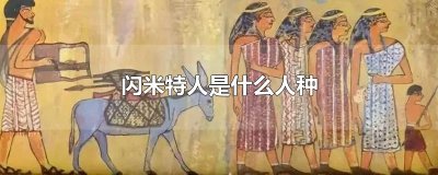 ​闪米特人是什么人种