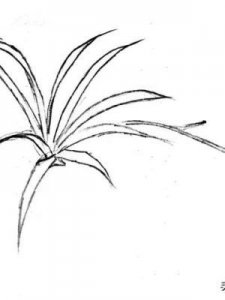 ​什么居乐业(什么居乐什么成语)