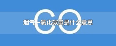 ​烟气一氧化碳量是什么意思