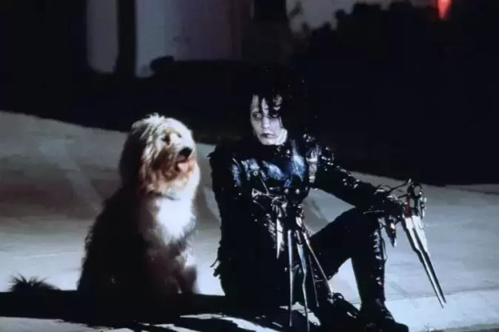 好莱坞经典影片有哪些（最经典的5部好莱坞电影推荐）