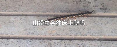 ​山蛩虫会往床上爬吗