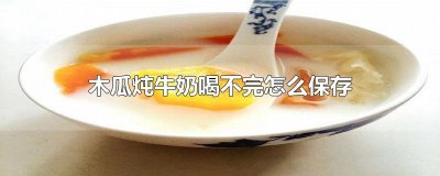 ​木瓜炖牛奶喝不完怎么保存
