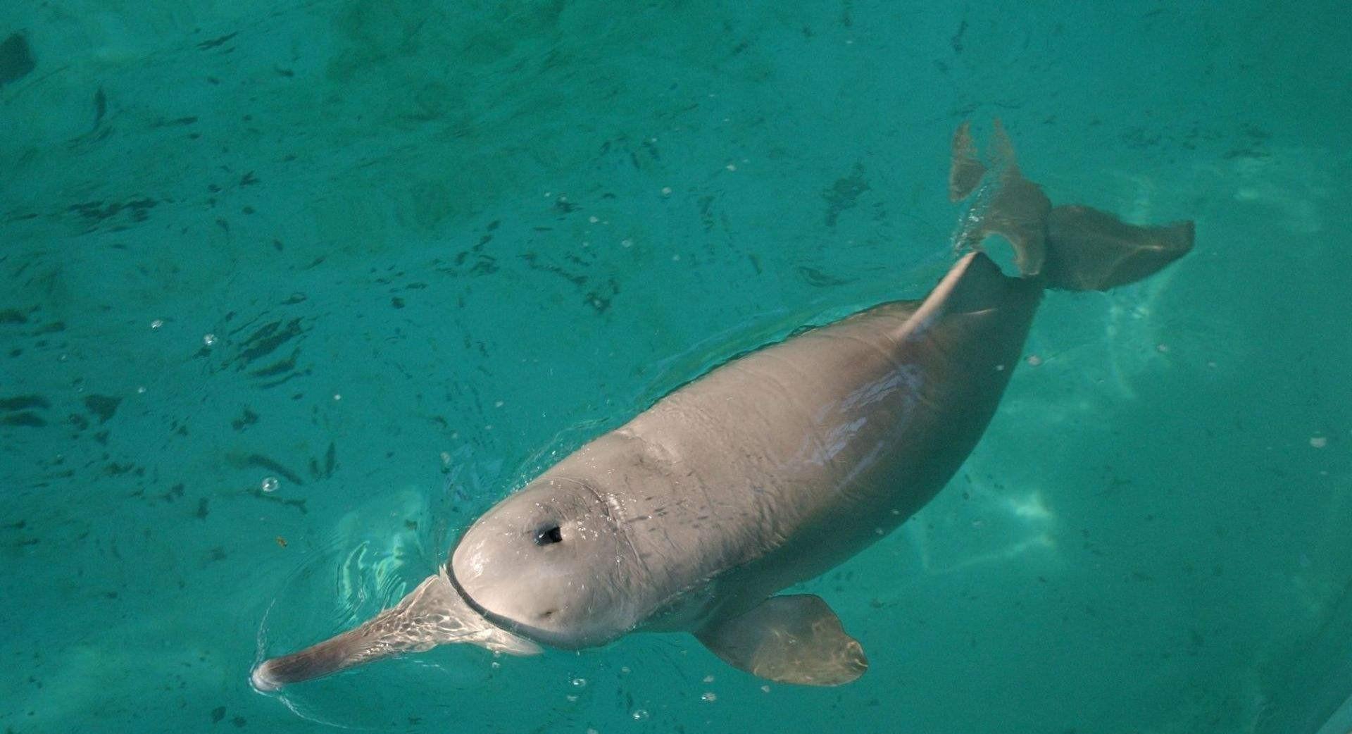 三峡的地位和作用（三峡在哪里哪个省的哪个市）(图16)