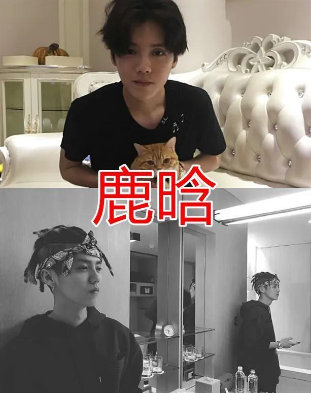 任嘉伦的豪宅, 周震南的豪宅, 费启鸣的豪宅, 鹿晗的豪宅～～