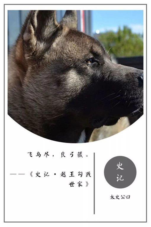 史记经典名言摘录