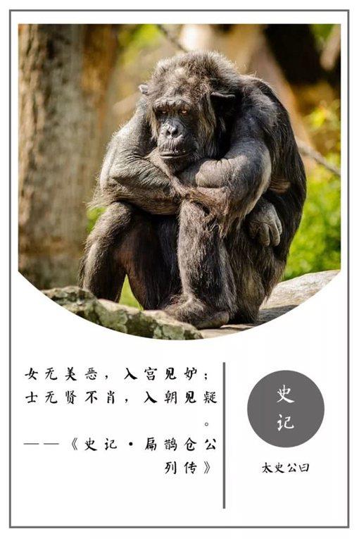 史记经典名言摘录