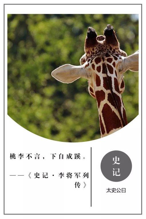 史记经典名言摘录