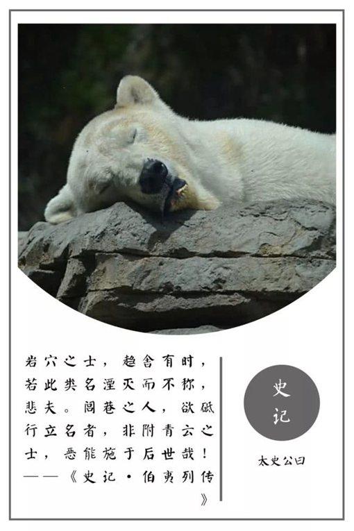 史记经典名言摘录