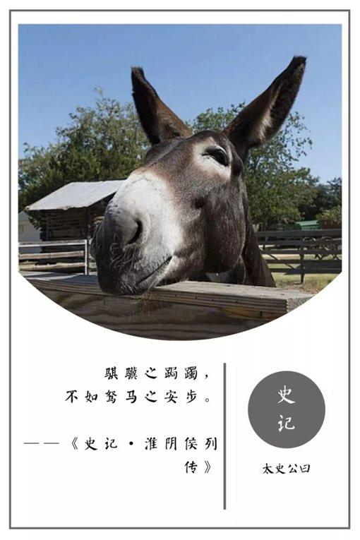 史记经典名言摘录