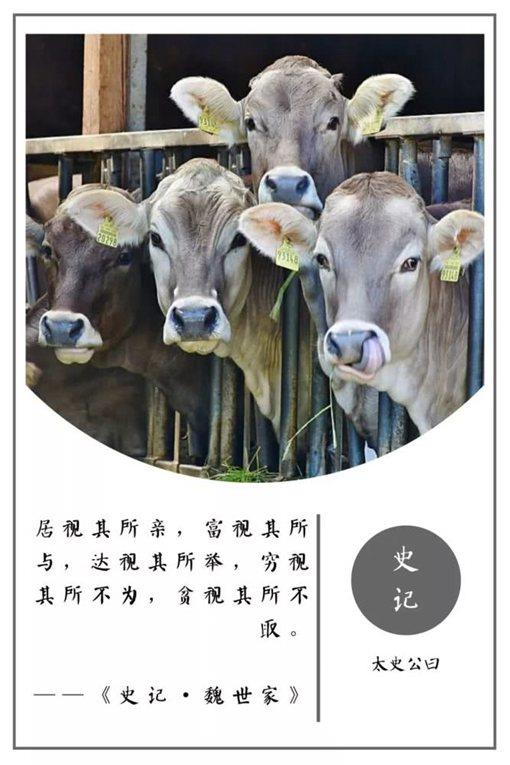 史记经典名言摘录